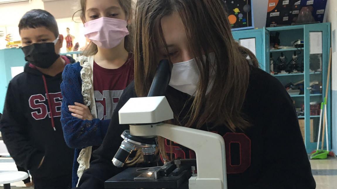 5.sınıflarımız bu hafta küflendirkleri ekmekleri mikroskopta inceleyerek,küf mantarlarını gözlemlediler.