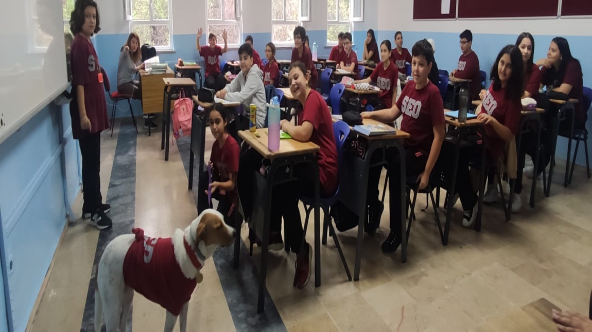 4 Ekim Hayvanları Koruma Günü kapsamında “Latte” sınıflarımızı ziyaret etti